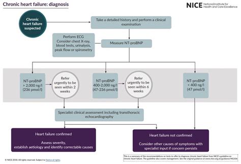 ejection fraction guidelines.